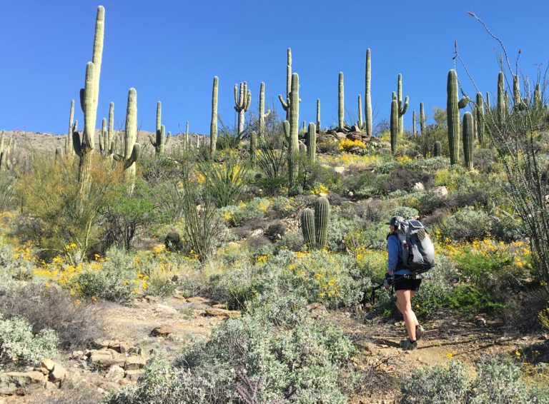 How to plan the 800 mile Arizona Trail