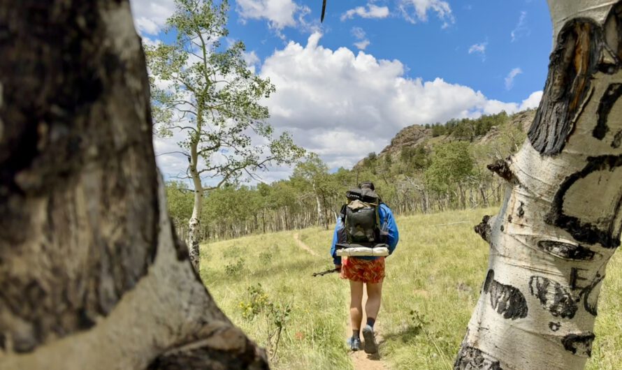 Colorado Trail – Abschnitt 1: Waterton Canyon zum Kenosha Pass