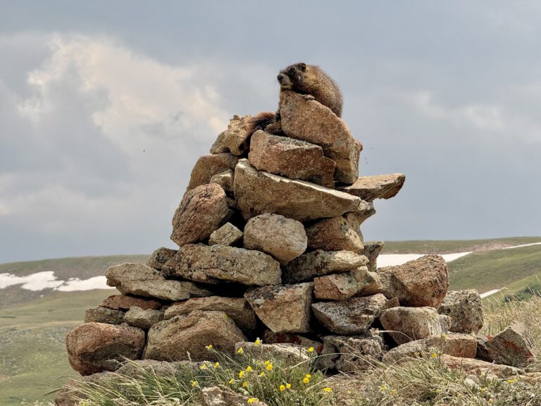 Colorado Trail 3: Breckenridge – Leadville