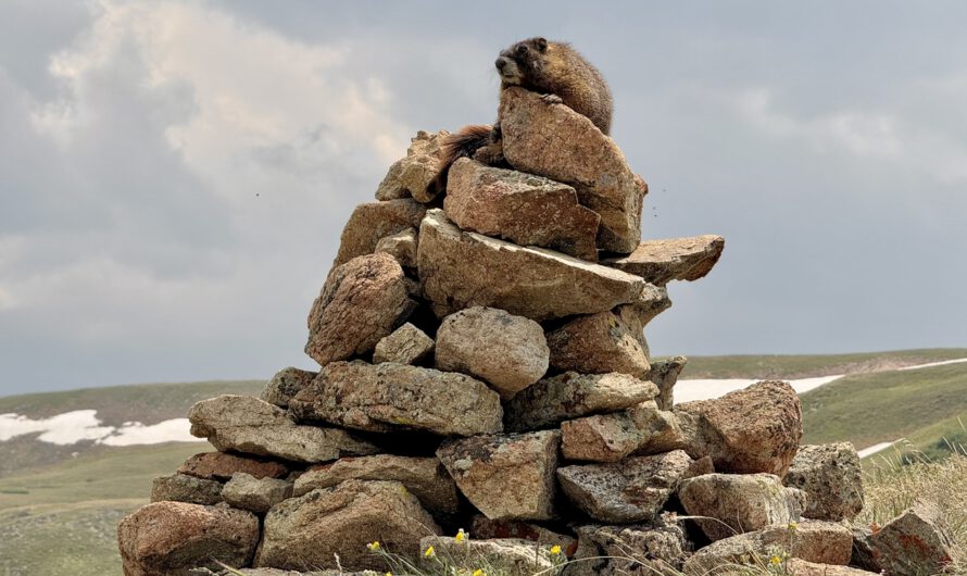 Colorado Trail – Abschnitt 3: Breckenridge bis Leadville