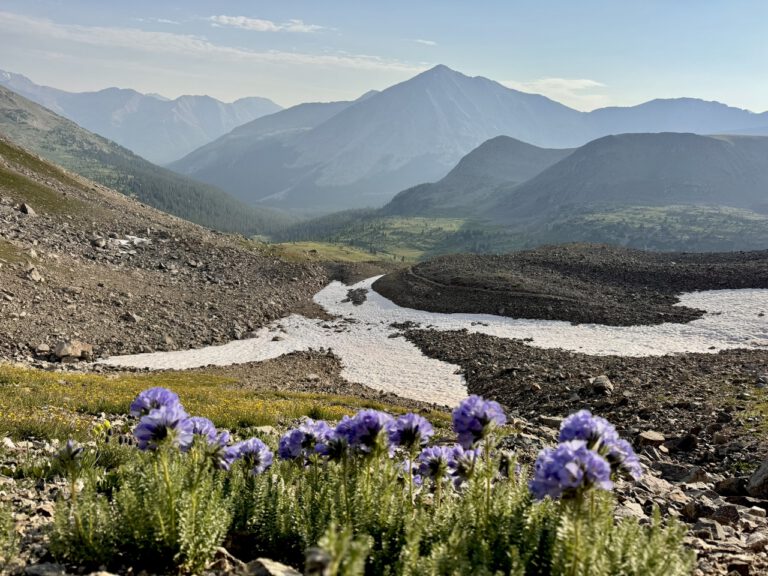 Colorado Trail 4: Leadville – Tincup Road