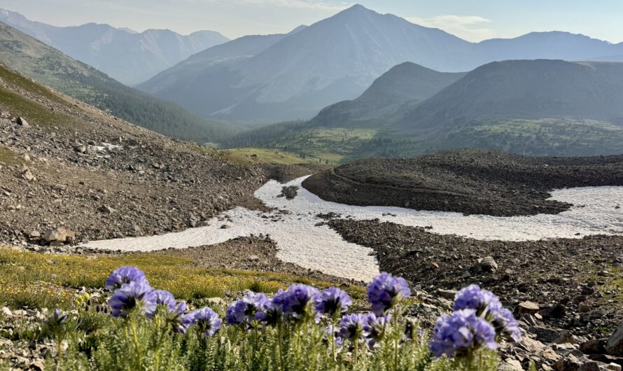 Colorado Trail – Abschnitt 4: Leadville bis Tincup Road