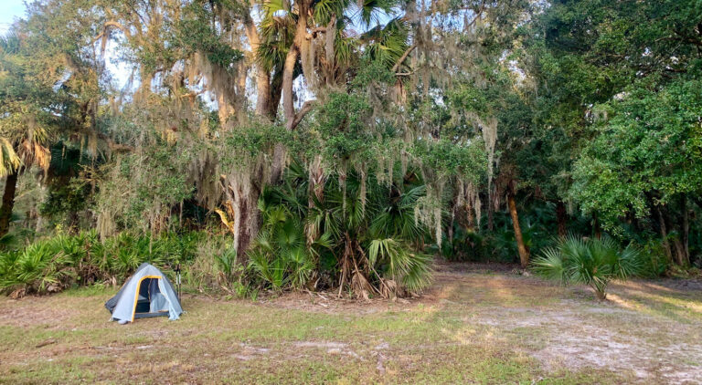 Florida Trail 4: Lake Okeechobee – MICCO Landing
