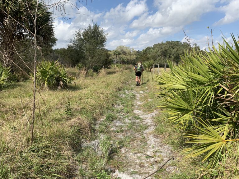 Florida Trail 5: MICCO Landing – Kissimmee Prairie