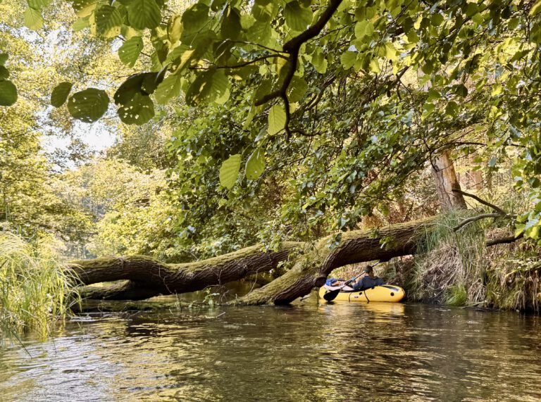 Wilder Rheinsberger Rhin – mit dem Packraft paddeln